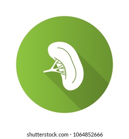 Human spleen flat design long shadow glyph icon. Lymphatic system organ. Vector silhouette illustration