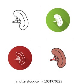 Human spleen icon. Lymphatic system organ. Flat design, linear and color styles. Isolated vector illustrations