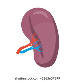 Human Spleen. Human Organ Icon. Vector illustration. Eps 10.