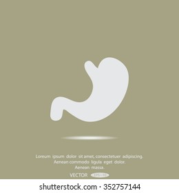 human stomach