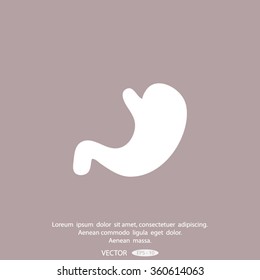 human stomach