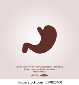 human stomach
