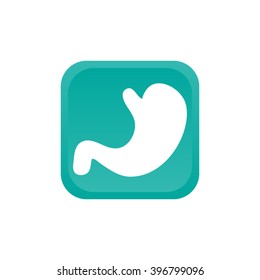 human stomach