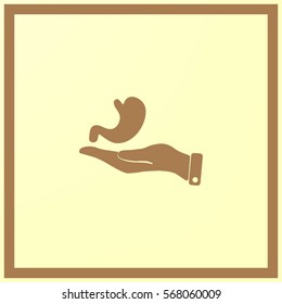 human stomach