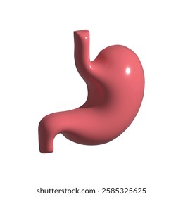 Human Stomach 3d render. Internal organ, 3d human gastrointestinal tract. Stomach pain and heartburn symbol. Digestive disease. Gastritis and acid reflux concept.Vector illustration isolated on white.