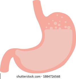 Estomago humano con burbujas de ácido vector de icono aislado en fondo blanco con burbujas de ácido