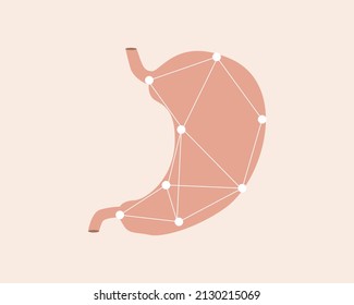 Human stomach. Anatomical flat vector stock illustrator. Modern technologies, organ scanning. Isolated gastrointestinal tract