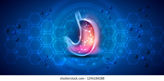 Human Stomach anatomy cross section on a beautiful blue scientific abstract background