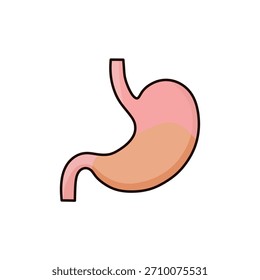 Human Stomach Anatomy Digestive System Organ Illustration