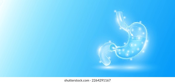 Human stomach anatomy form line triangles connecting on blue background. Futuristic glowing organ hologram translucent white and copy space for text. Medical anatomical concept. Modern design vector.