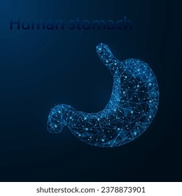 Human stomach anatomy organ translucent low poly triangle futuristic glowing. On dark blue background. Abdomen disease medical innovation concept.