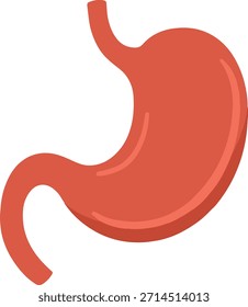 Menschliche Magenanatomie, Vektorgrafik