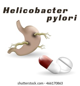 human stomach and bacteria on a white background, pylori, medicament
