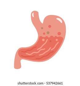 The human stomach is in cartoon style, is insulated on white. flat vector illustrations. easy to use