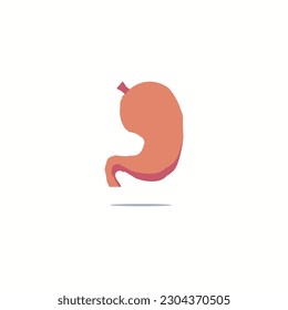 Icono de color de estómago humano Icono de vector