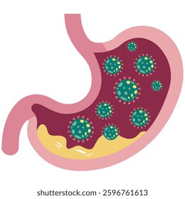 Human stomach with digestive issues��