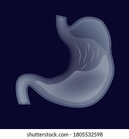 Human stomach, digestive system. Transparent organs on a dark background. Vector illustration