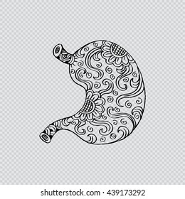 Human stomach in doodle style.
