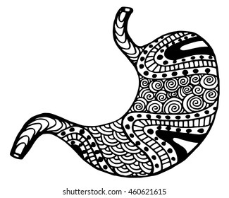 Human stomach in doodle style