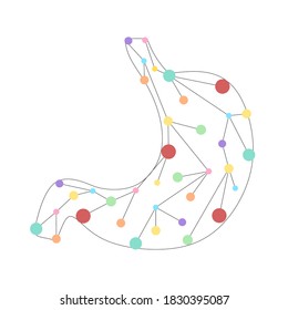 Human stomach dot connected. Healthy human internal digestion organ made by points and lines, polygonal wireframe mesh, low poly vector illustration. Human healthy medicine drug treatment stomach. 