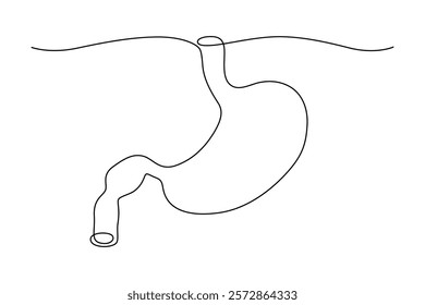 Human stomach, drawn with continuous line in minimalism, abstract, hollow organ, medicine, gastroenterology, anatomy, one line, editable vector contour