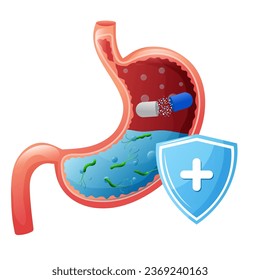 Estomago humano con cápsula de fármaco y helicobacter pylori dentro. Ilustración vectorial aislada en fondo blanco. Estilo de la caricatura
