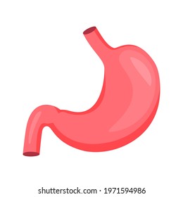 human stomach flat design vector. illustration stomach.