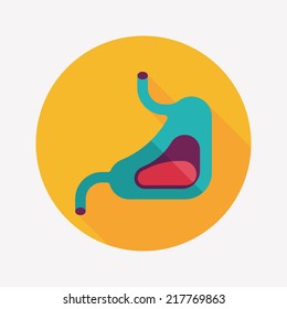 Human stomach flat icon with long shadow