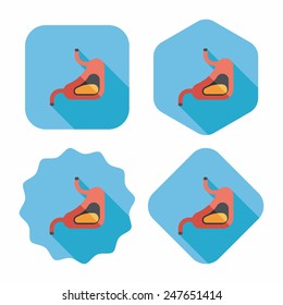 Human stomach flat icon with long shadow