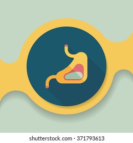 Human stomach flat icon with long shadow