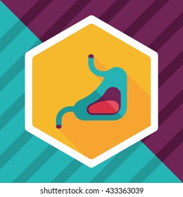 Human stomach flat icon with long shadow