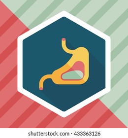 Human stomach flat icon with long shadow