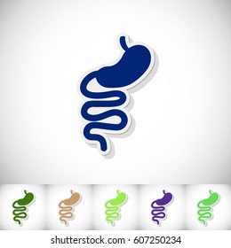 Human stomach. Flat sticker with shadow on white background. Vector illustration
