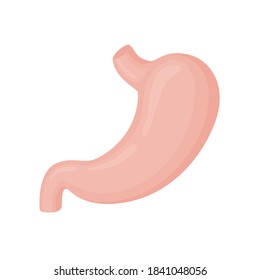 Human stomach flat style vector colorful illustration. Internal organ icon, logo. Anatomy, medicine concept. Healthcare. Isolated on white background.