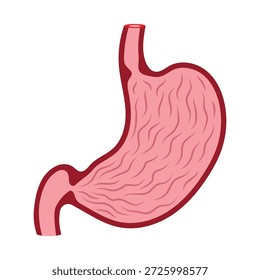 Ilustración vectorial plana del estómago humano médico