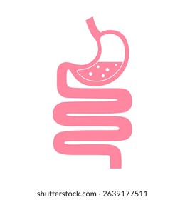 Human stomach and gastrointestinal system vector illustration on white background