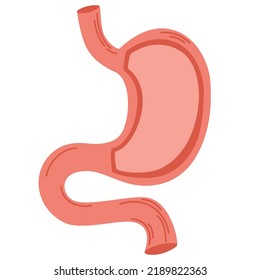 Human stomach. Healthcare medical center, surgery, hospital, clinic, diagnostic logo. Internal organ symbol poster design. Vector isolated illustration of stomach anatomy in cut.