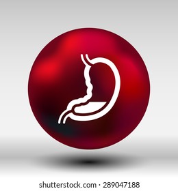 Human stomach icon human cross intestinal organ.