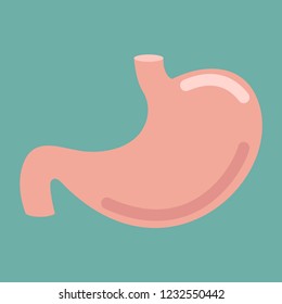Human stomach icon. Digestive system anatomy. Human internal organs symbol. Vector illustration.