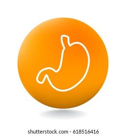  Human stomach icon flat.