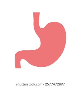 Human Stomach icon flat style. Internal organ, human gastrointestinal tract. Stomach pain and heartburn symbol. Digestive disease. Gastritis and acid reflux concept. Vector illustration isolated.
