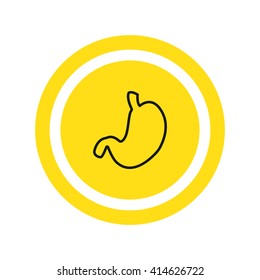 Human stomach icon vector