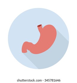 human stomach icon. vector illustration