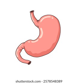 human stomach illustration, with simple design, with white background suitable for your design