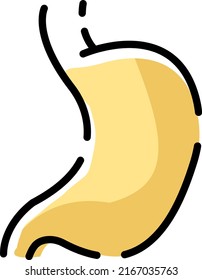 Estomago humano, ilustración, vector sobre fondo blanco.
