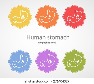 Human stomach. Infographics icons.EPS 10 file. 