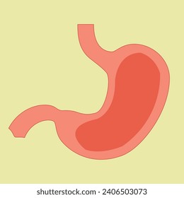 Human stomach. Internal organ, anatomy. Vector cartoon flat icon illustration