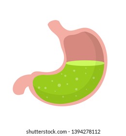 Human stomach. Internal organ of the body. Bubbles in green acid. Medical care. X-ray of the belly. Digestive problems. Cartoon flat illustration