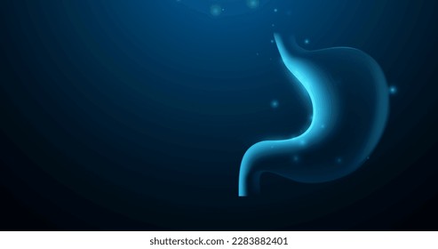 Human stomach. Internal organ. Illustration vector