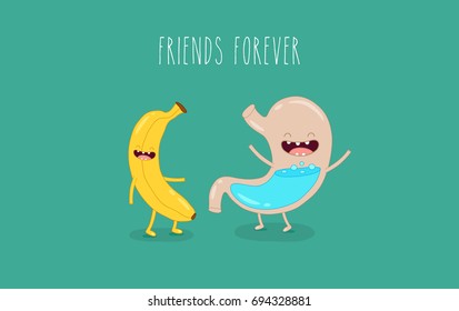 human stomach, internal organs, fruits. Banana it is healthy food for stomach. Vector illustrations. Use for the menu, in the shop, in the bar, the card or stickers. Easy to edit.